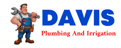 Trusted plumber in HOWES